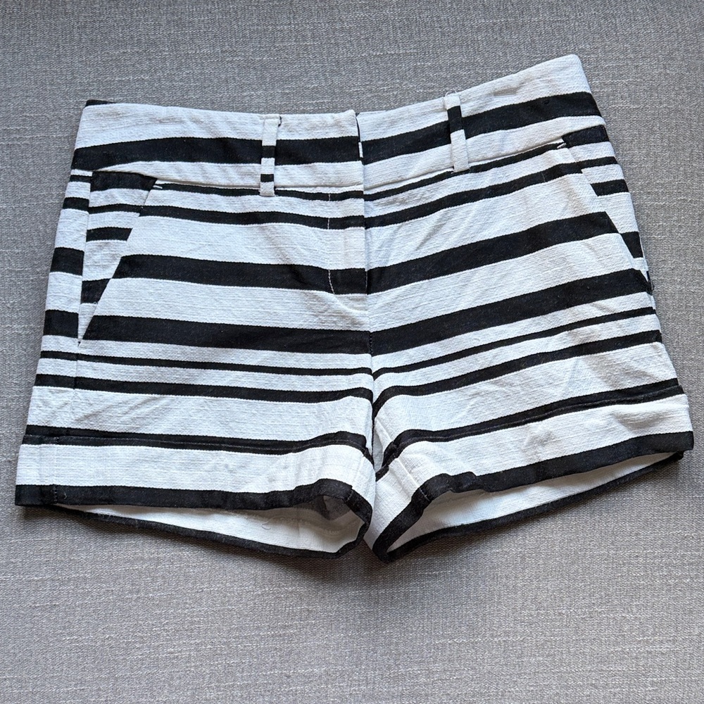 7th Ave. Design Shorts